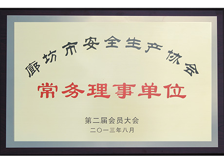 廊坊市安全生產(chǎn)協(xié)會(huì)常務(wù)理事單位