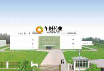 湖北午時(shí)藥業(yè)制藥基地項(xiàng)目