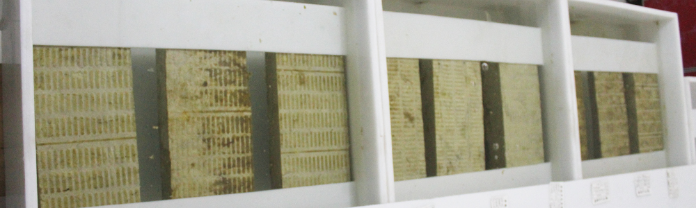 華能中天巖棉實(shí)驗(yàn)